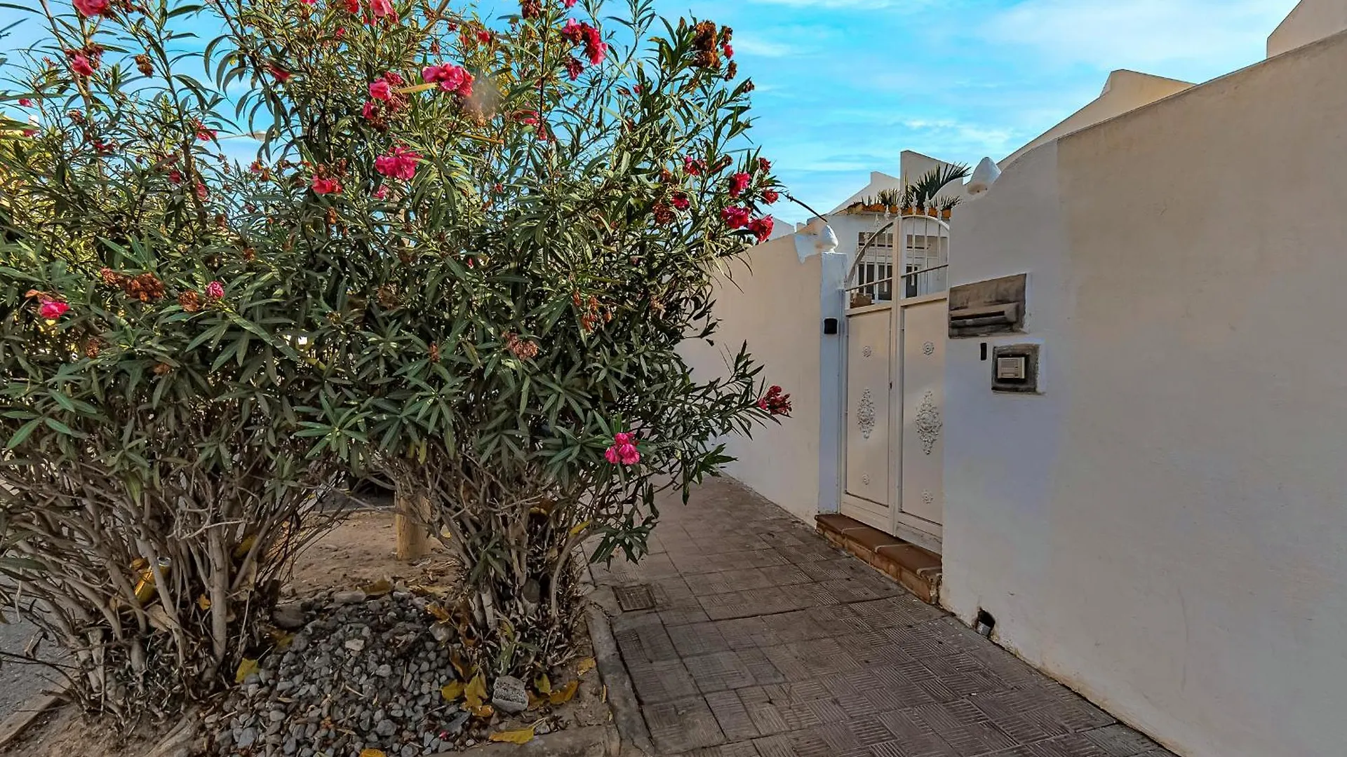 Apartment On Torviscas Costa Adeje   Costa Adeje (Tenerife)